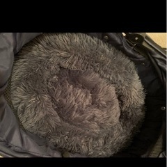 ペット用バギーの画像