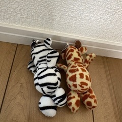 ぬいぐるみの画像