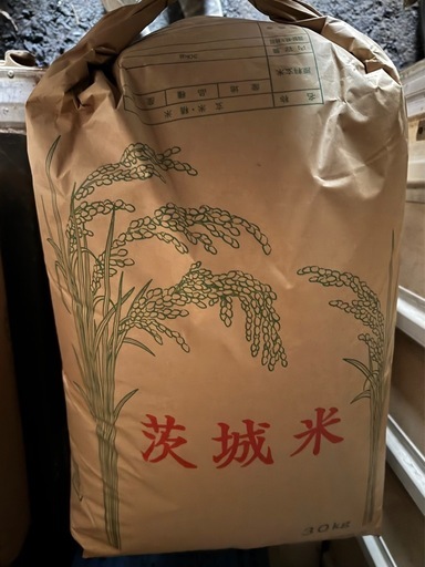 令和6年コシヒカリ玄米　30kg 冷蔵庫保管