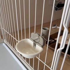 犬　ゲージの画像