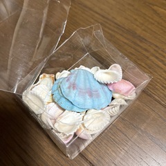 貝殻　シェルミックス　インテリア雑貨の画像