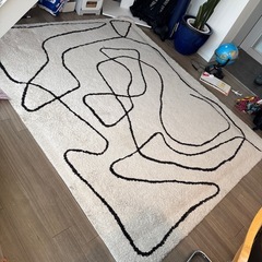 JOURNAL STANDARD(ジャーナルスタンダード) FURNITURE FERNERO RUG  フェルネロラグ　250×200の画像