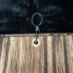 【観葉植物】✨かっこいい✨ビガクシダ養生板の画像