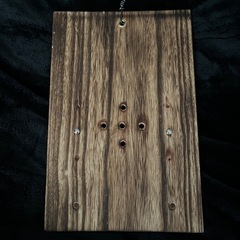 【観葉植物】✨かっこいい✨ビガクシダ養生板の画像