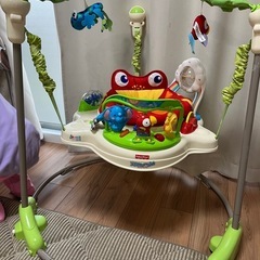Fisher-price レインフォレスト・ジャンパルーの画像