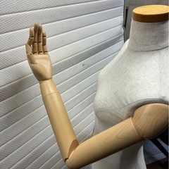 レディース　婦人　9号トルソー　洋裁の画像