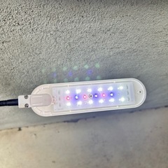 テトラ小型水槽セットの画像