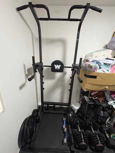 アワード受賞・人気ブランド】 BARWING(バーウィング) ぶら下がり健康器  美品