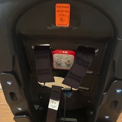 決定済みの画像