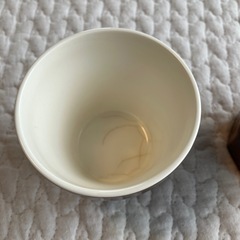 スタジオエム　エピスカップ　まとめ売りの画像