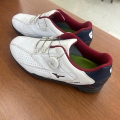 店2602-324 ミズノ　ゴルフシューズ　LS-002 25㎝の画像