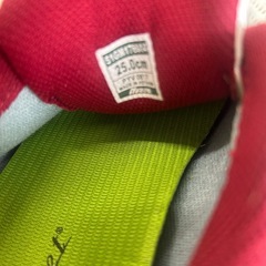 店2602-324 ミズノ　ゴルフシューズ　LS-002 25㎝の画像