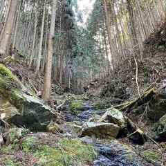 山林物件324　和歌山県かつらぎ町花園久木①