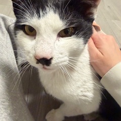 極寒で生き抜いた命｜甘えれるママ探し − 兵庫県