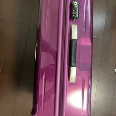 [問い合わせ中]旅行カバンの画像