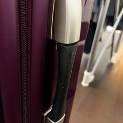 [問い合わせ中]旅行カバンの画像