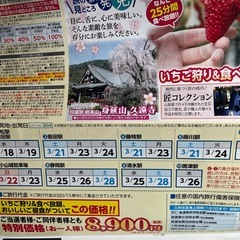 いちご狩り　食べ放題　山梨県の画像