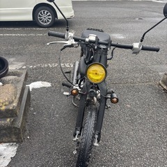 リトルカブの画像