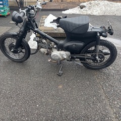 リトルカブの画像