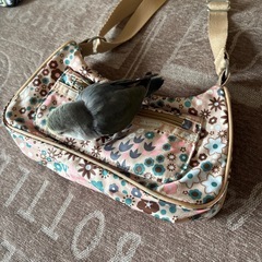 レスポートサック　ミニショルダーの画像