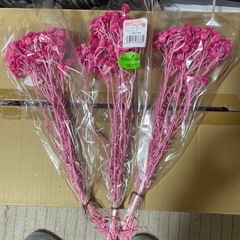 プリザーブドフラワー　ソフトモーテルの画像