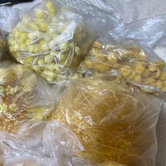 プリザーブド　黄色　ヘッドのみの画像