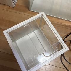 20センチキューブ水槽の画像