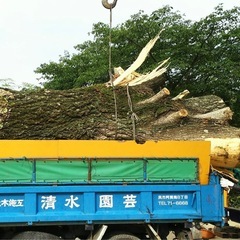 呉市全域の庭の剪定・草刈り・伐採お任せください！