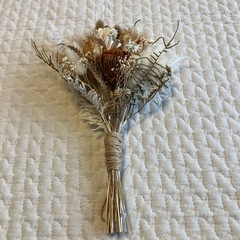 ドライフラワー　の画像