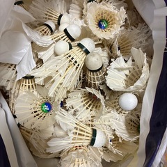 バトミントンの羽の画像