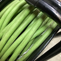 コードリール③※訳ありだけど使えます　電線　延長コードの画像