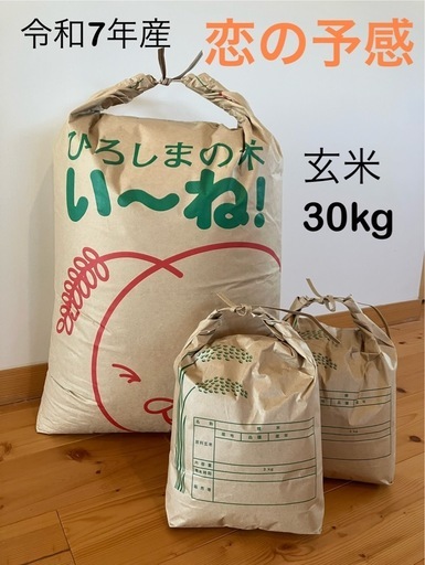 令和7年産　恋の予感　玄米30kg