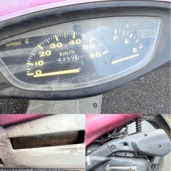 ★キャンディピンク★ロンホイ★実動★ ホンダ ライブディオ AF34 AF35 ZX風の画像