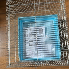 鳥かごの画像