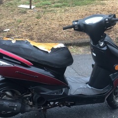 ヤマハシグナス125実動の画像