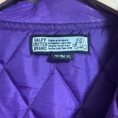 【2/11まで】ガルフィーの画像