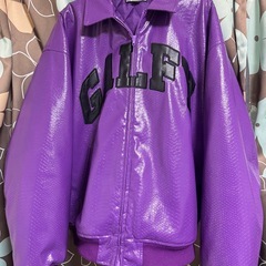 【2/11まで】ガルフィーの画像