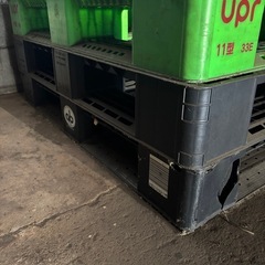 リサイクル プラスチックパレット サイズばらばらの画像
