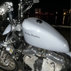 2006年式ハーレーXL883Lの画像