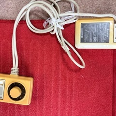 日立電気カーペットの画像