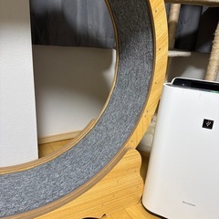 キャットウォールの画像