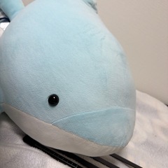 水族館　　イルカ特大ぬいぐるみの画像