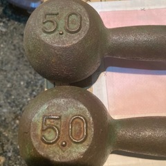 5.0kgのダンベル2つの画像