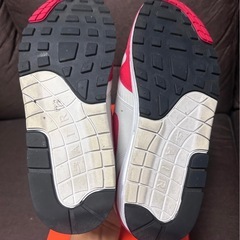 レア　Nike Air Max 1  Anniversary の画像