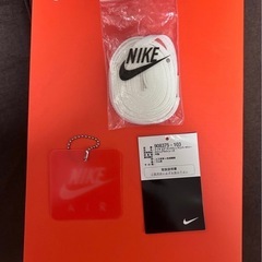 レア　Nike Air Max 1  Anniversary の画像