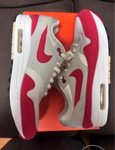 レア　Nike Air Max 1  Anniversary