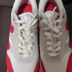 レア　Nike Air Max 1  Anniversary の画像