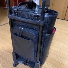 キャリーバッグ　コロコロの画像
