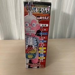 おもちゃ　人体模型
の画像