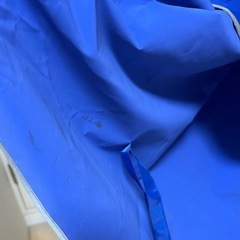 レンコートの画像